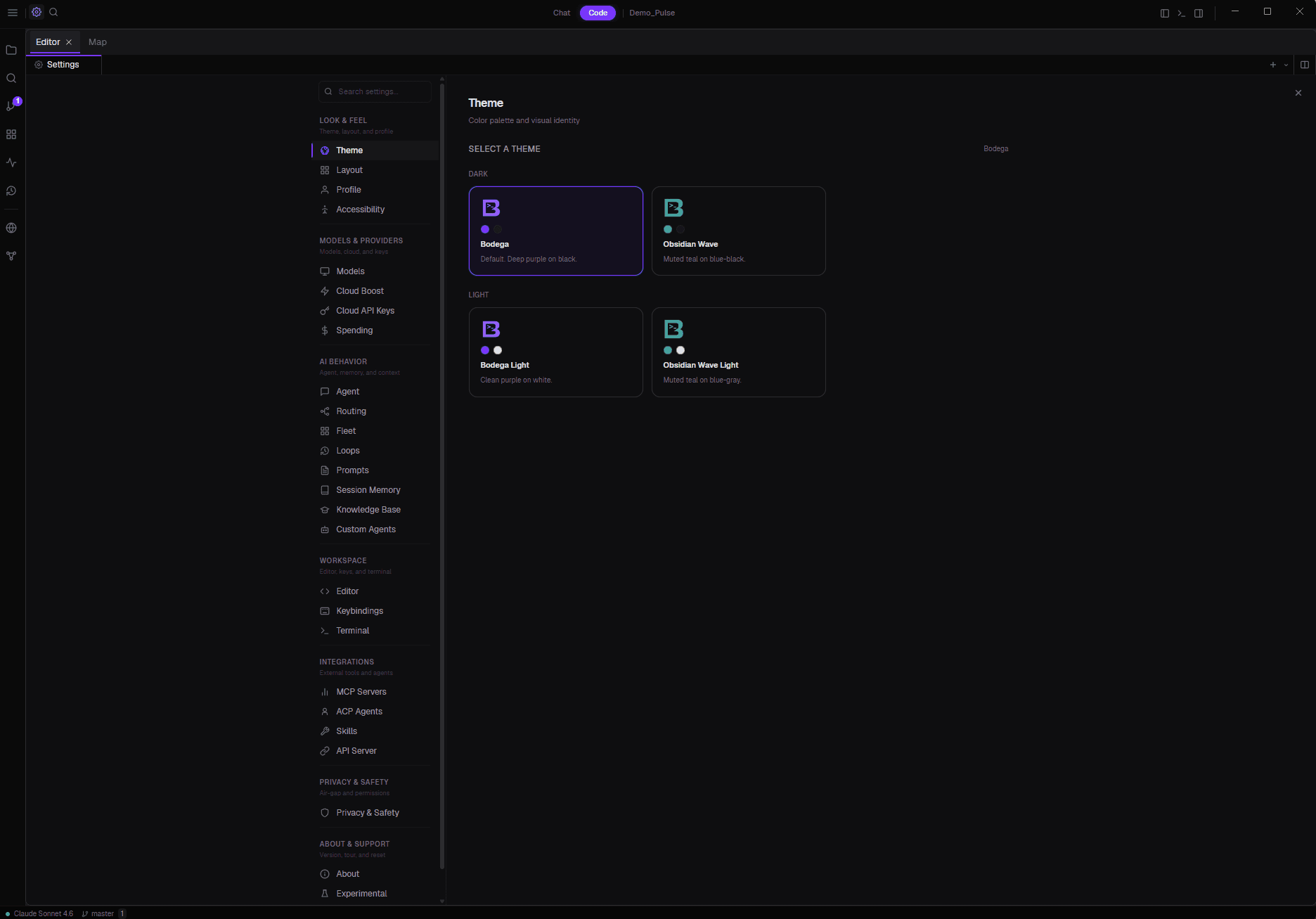 Bodega One Code settings: the theme picker and the models and providers configuration